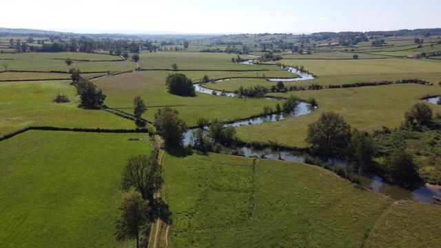 L arconce 2