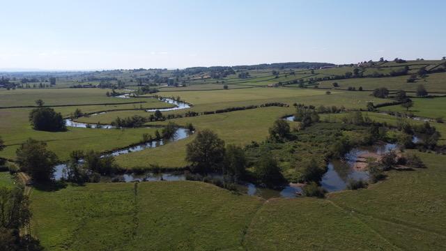 L arconce